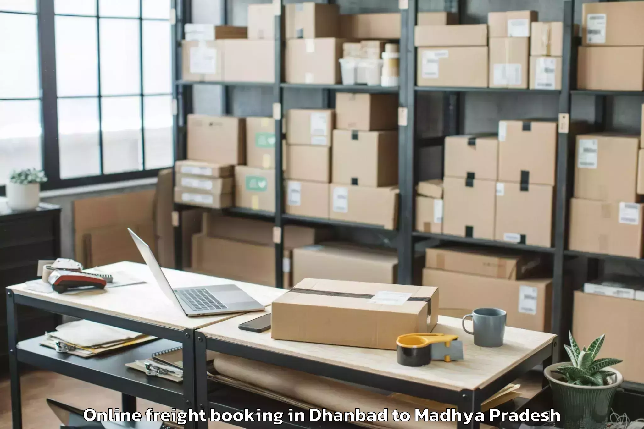 Expert Dhanbad to Patharia Online Freight Booking